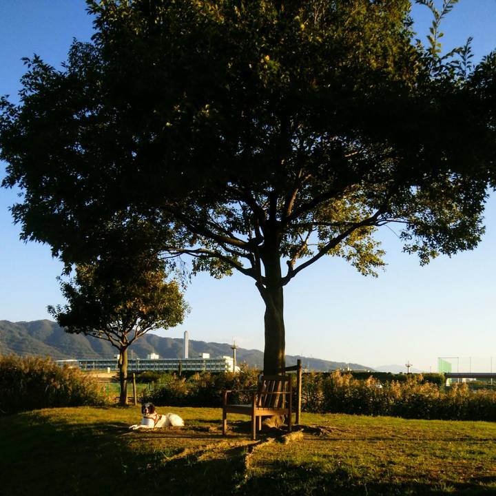 41c351c4 065c 4a43 b9fa 23c9e0a8985f 1540468426193