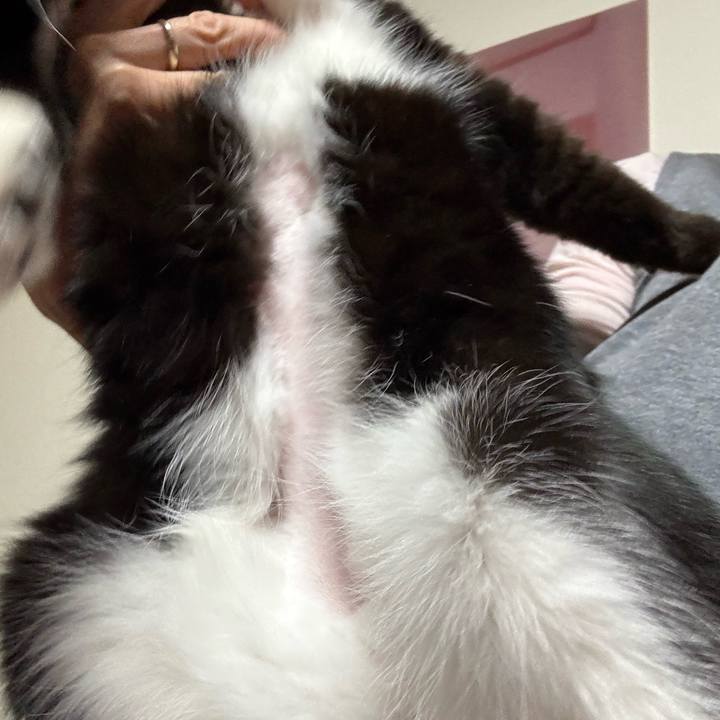 41c37108 dffe 4df9 a8f1 dc8406329a61 1770811414921