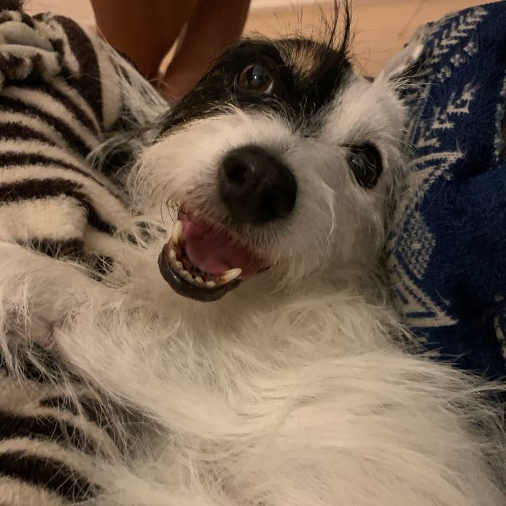 41c3ac38 865b 4794 9a6b 7a59925d90f1 1694606592261