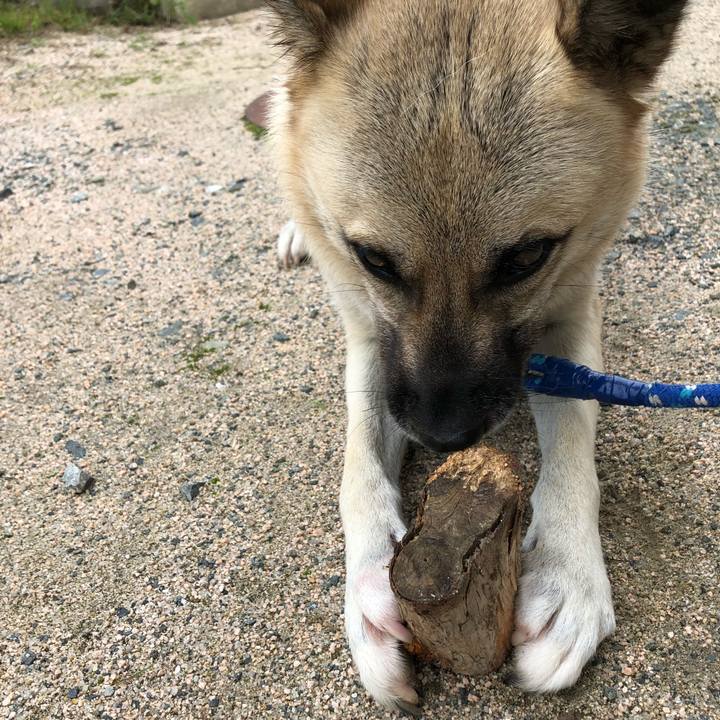 41c3e444 6c74 40e2 9456 cc2f5fcd9946 1536928226037