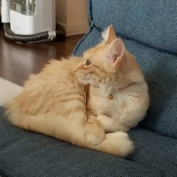 41c3f894 260c 4e5a 9c2c 7dbd65b851af 1611717648577