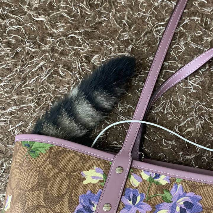 41c41ae9 90b5 43af 9af6 877a6031e7ee 1564040005886