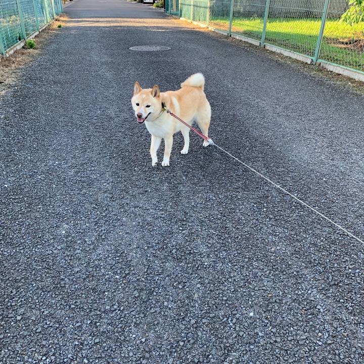 41c435ec 69ea 41e2 b099 148d06a0effa 1656120452449