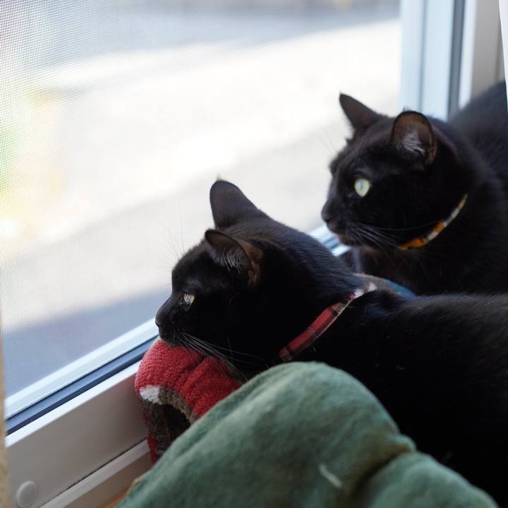 41c43ca9 1f2c 4500 9d42 c0b15cf058fe 1578897189830