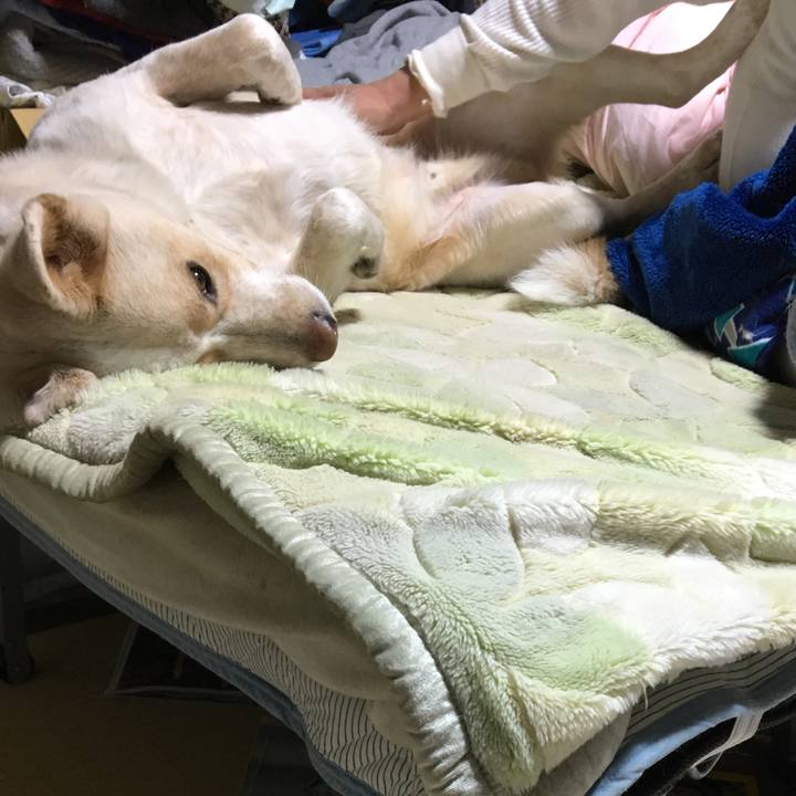 41c46a7e df0b 4365 b9dc 449772c7583c 1516028337068