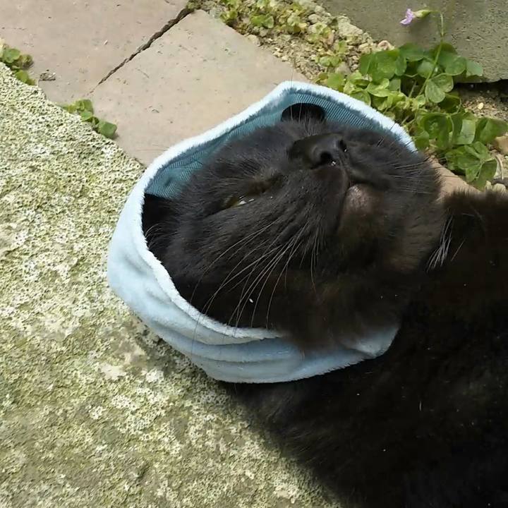 41c49279 fd23 4969 b197 85be266fbf70 1557028550901