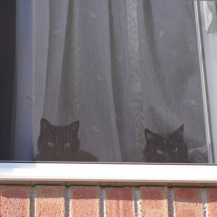 41c49925 276f 443d 8588 9095004c1b02 1632902607681