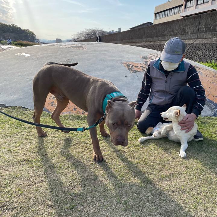 41c49c3f 2f2d 4ebe b2f8 d49885c23249 1680409874414