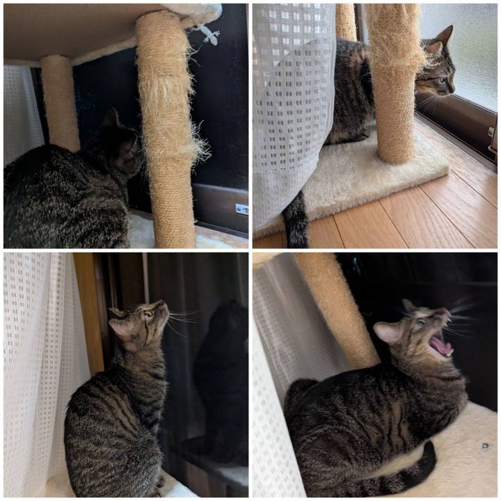 41c4a521 2a32 464d 8b56 4a518e140f3c 1752564125055