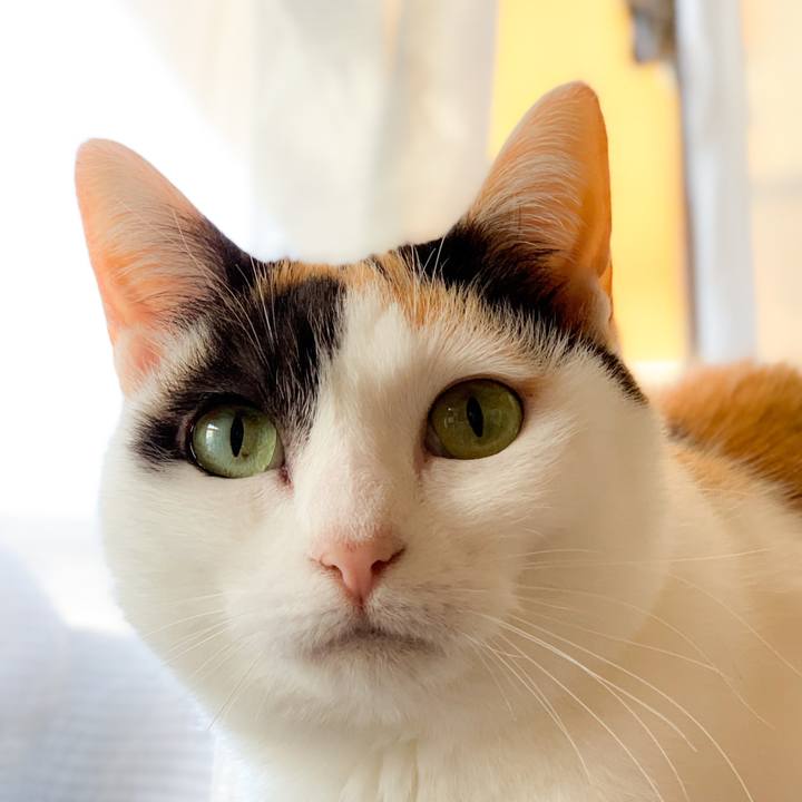 41c4d776 78e2 4413 b3d2 2ae622ee2608 1589246587488