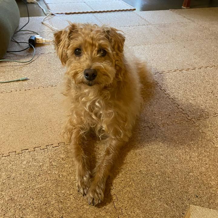 41c52016 04ee 404d ac05 fc130726d2e6 1697754337843