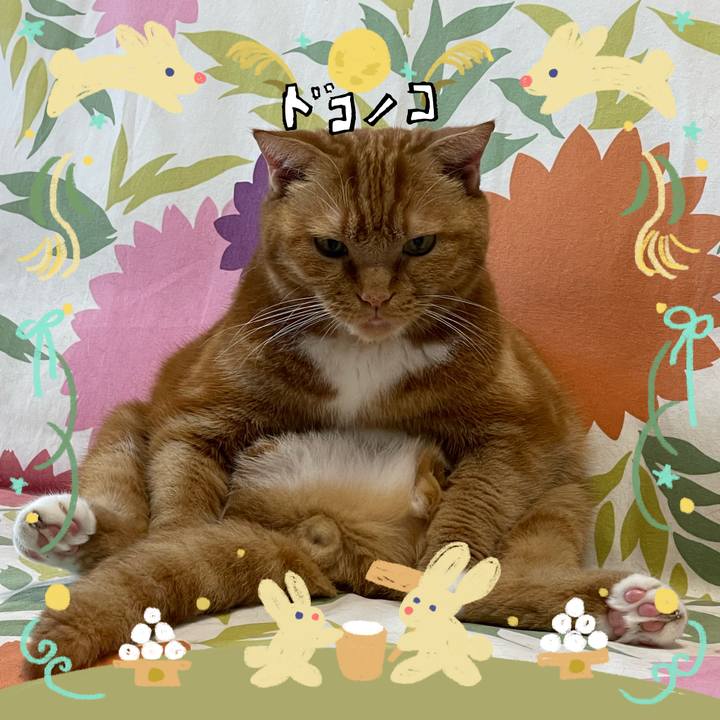 41c538ab 231e 4cfc a890 05475a564e39 1726973321110