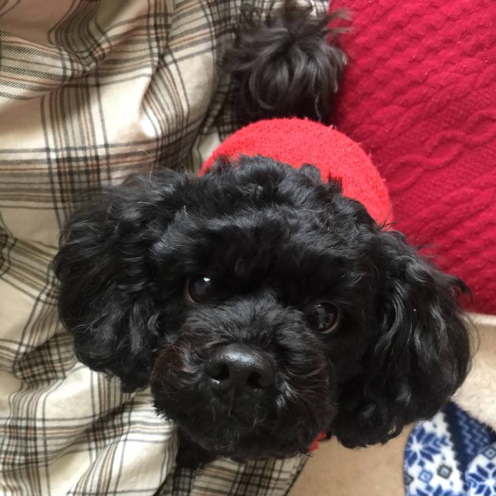 41c5497b b682 4e5e 81d2 04d6d54f55f5 1522041301896