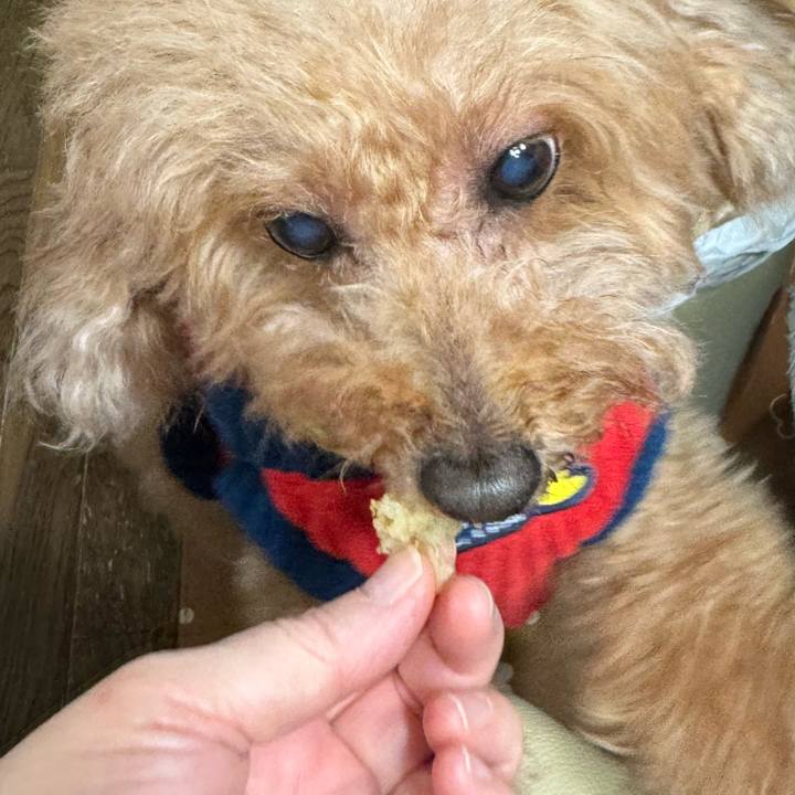 41c5756a 3f6c 4628 be8d c77f481be7c2 1762591242428