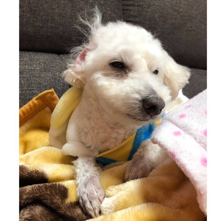 41c59050 78ee 4d92 9334 f5b39ef9a4cd 1552739419475