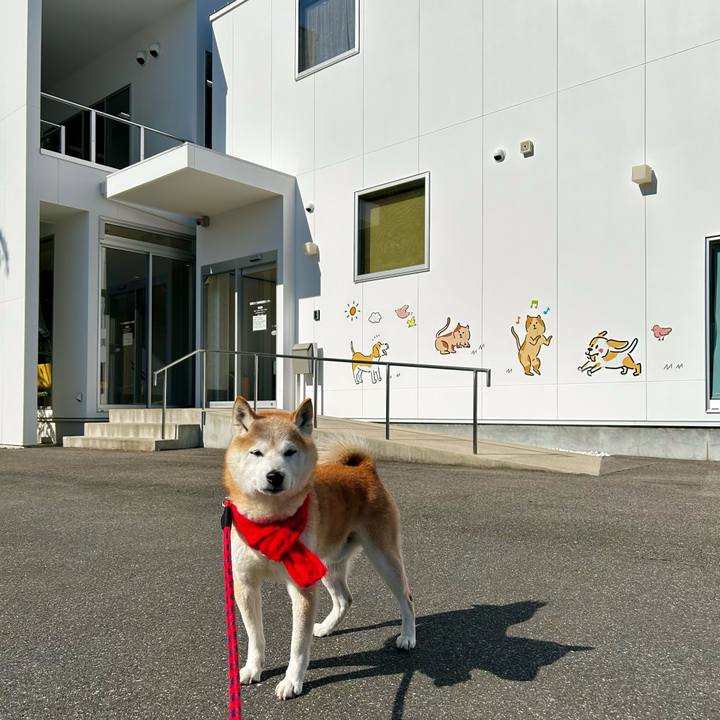 41c59fb6 fc14 4e90 a6df 7349b7c15de7 1770980316636