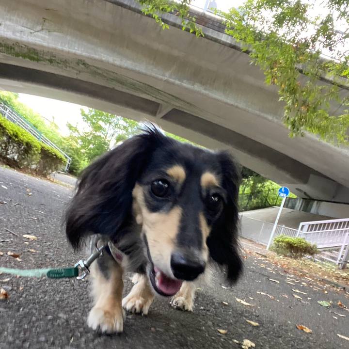 41c5a52b 4bad 4a0f 8bcd bc584e5f4e87 1759106988674