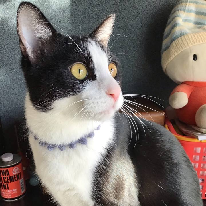 41c5d5f1 baa4 4042 b729 04de9cbb69e2 1641541231181