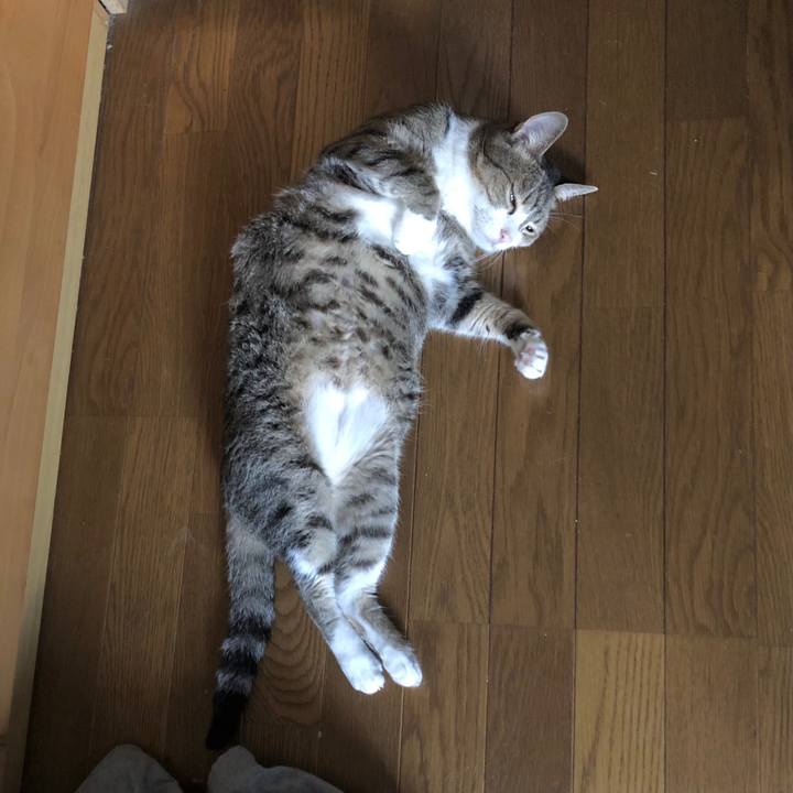 41c5e81e 7cda 4bb0 b30b 257c9801acae 1690954420946