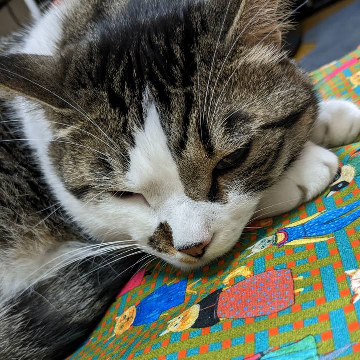 41c5ee75 b3fc 49e8 a475 aa5e2355bfb0 1684495422033