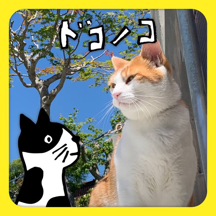 41c5f152 5564 43e4 bf86 3165b947a336 1622868285329