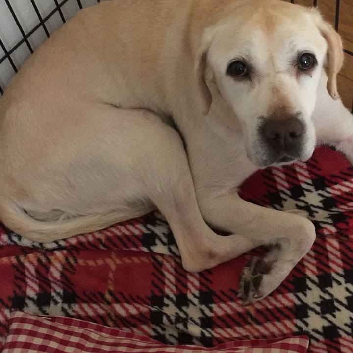 41c63f21 0a01 4cf2 aa5a 06b1603075ad 1549637490451