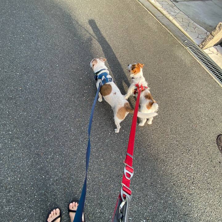 41c688de a1e6 48e9 8bc3 1541bd98e6e5 1663024318475