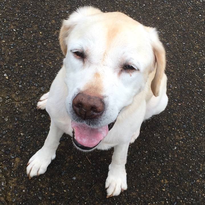 41c6a8a9 17e1 45a9 9a5f c07028774ba9 1547900968378