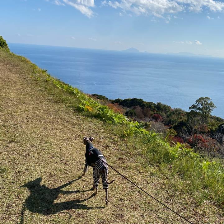 41c73617 54ad 4944 a50e 7bd399a3ac14 1763611536836