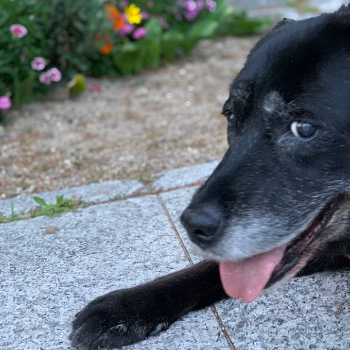 41c79310 ca43 434b 9946 8c72fa27c585 1651534598904