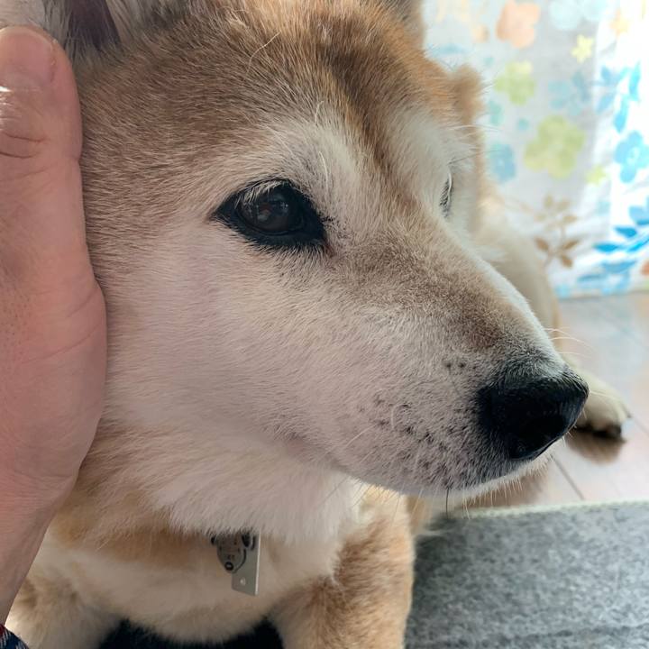 41c81bbc 53c5 4936 90b2 556f9d6966d6 1582437895870