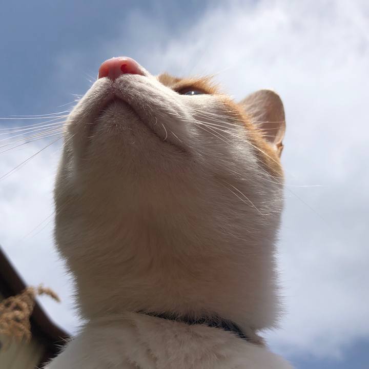 41c8403a ad88 42e2 b4b9 76c908e8f764 1554353992445