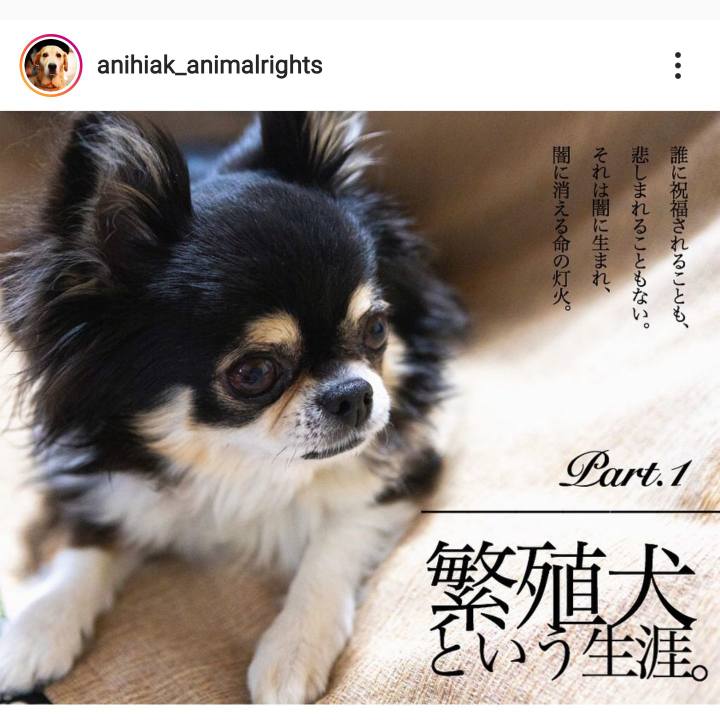 41c85f60 7df6 4c9a 9b3e 41b3ef0336cd 1605394283815