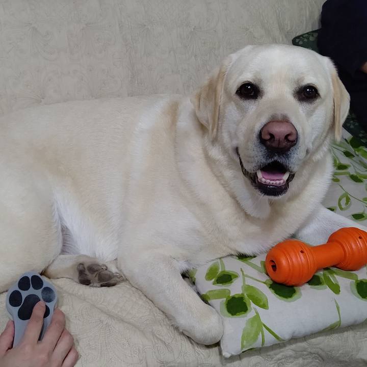 41c89eb4 0758 4549 a69d 591383f19855 1590921725821