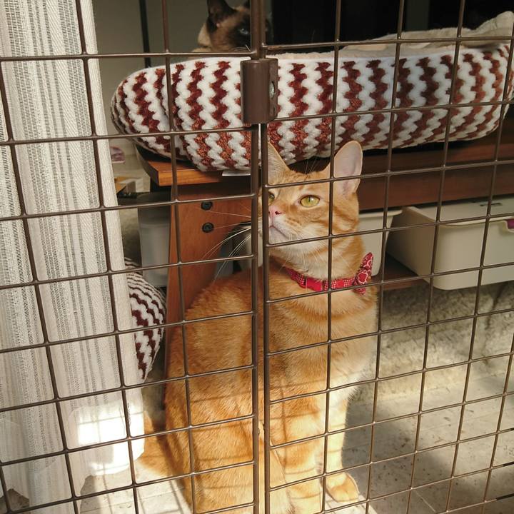 41c89fe2 c130 4def bf61 031b84cb0fb3 1516454089336