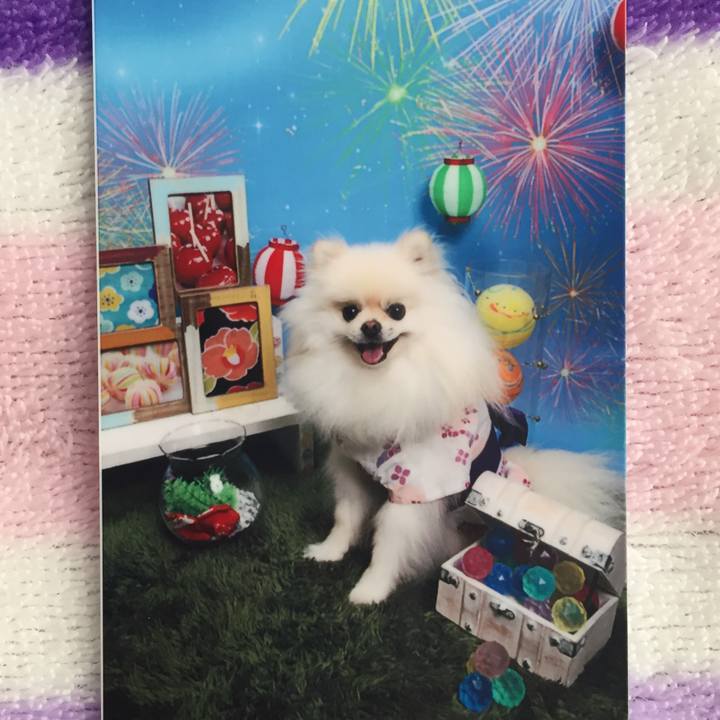 41c8f8e8 58d7 49f6 937b a1da4ce12e7d 1535172225258