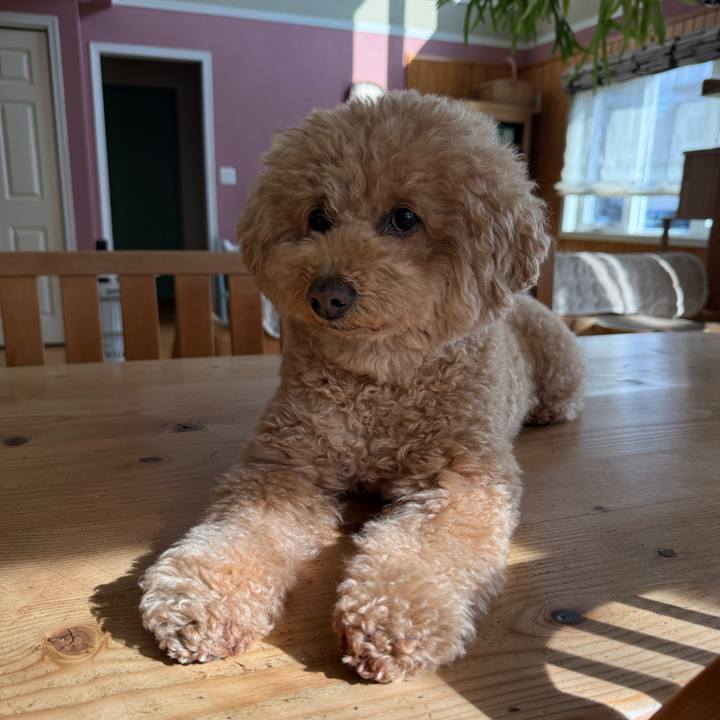 41c92676 f45e 4dd0 a934 ab8b797f2cc1 1770788327406