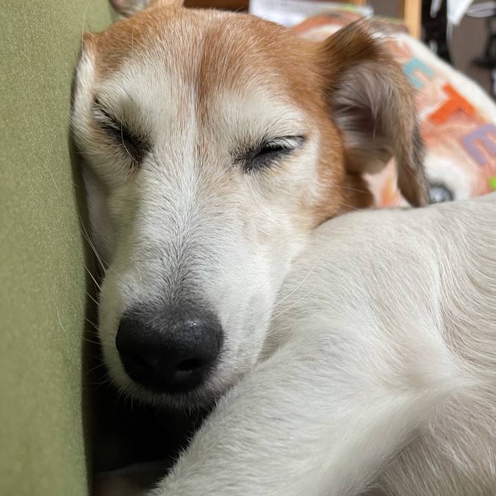 41c9871b 1fea 429b b197 150071ac4680 1627087768198