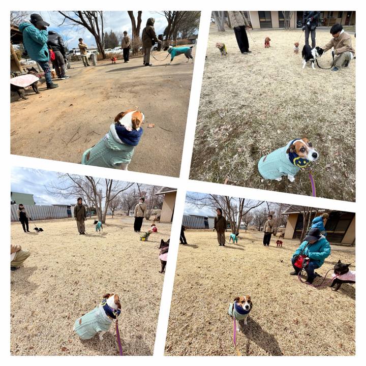 41ca9a11 27f9 409d 8639 95d358e2d983 1773122666277