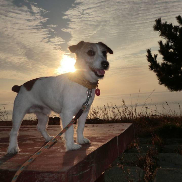 41caa21a 77e8 41b2 add0 f9fa1655b10c 1509876408550