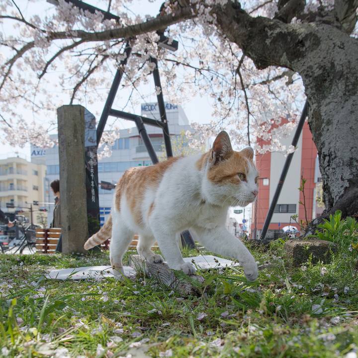 41caa3d1 0471 477d 809c ebc012706805 1554742911517