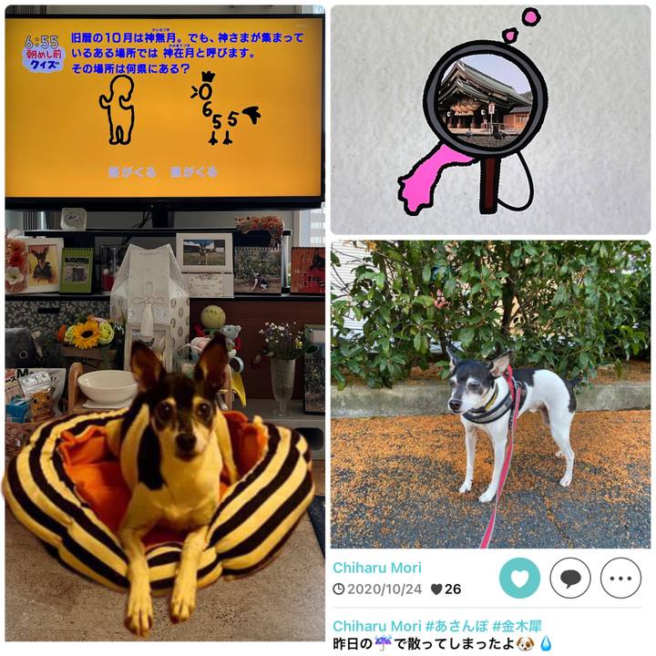 41caaebb a7de 4252 96e8 4fa37a5be3c8 1666736158463