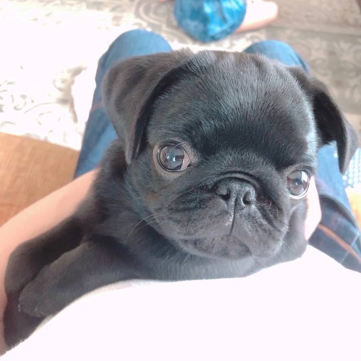 41cabae5 f6f2 4643 947e aaf95973d4f9 1588552692370