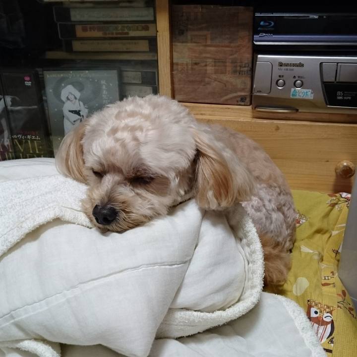 41cacaa6 16b5 4d75 834a 779dd3a38504 1540563136003