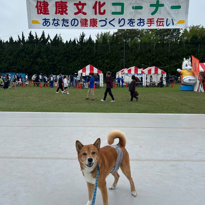 41cae807 85ed 4759 b608 17a9c3c6ffb1 1697357929195