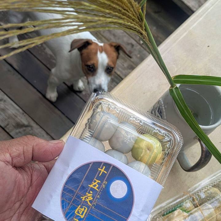 41cb124e f1cf 4b64 846b 352cfe8bb7cc 1759631515666