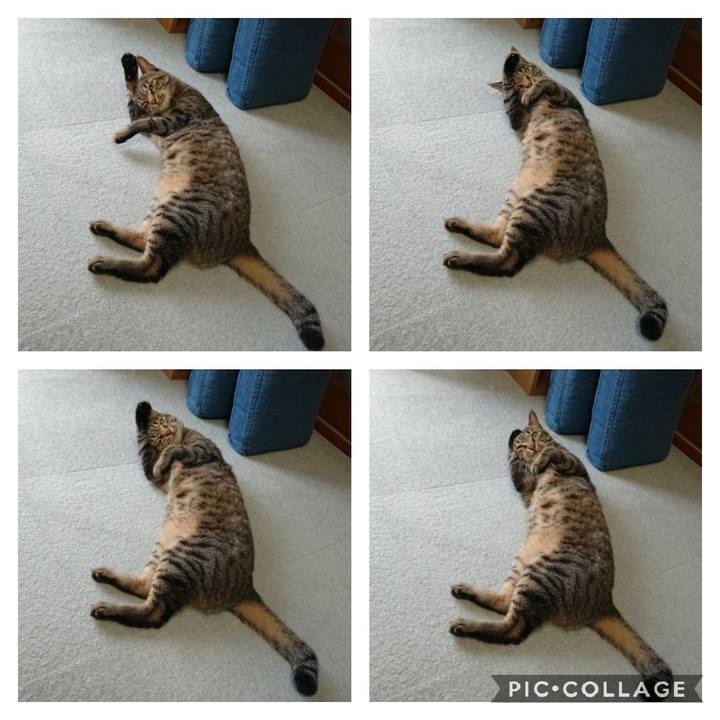 41cb6b7f c31f 4366 8ba3 08eaf6be4638 1595479387988