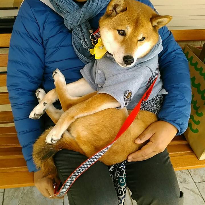 41cb89b7 afcc 4a25 98b9 2c8d8b0b4025 1547432150063