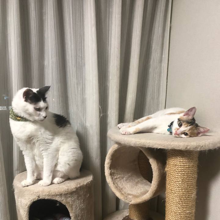 41cb8f11 15b6 4fd6 8f11 002f55ccf5aa 1564929852356