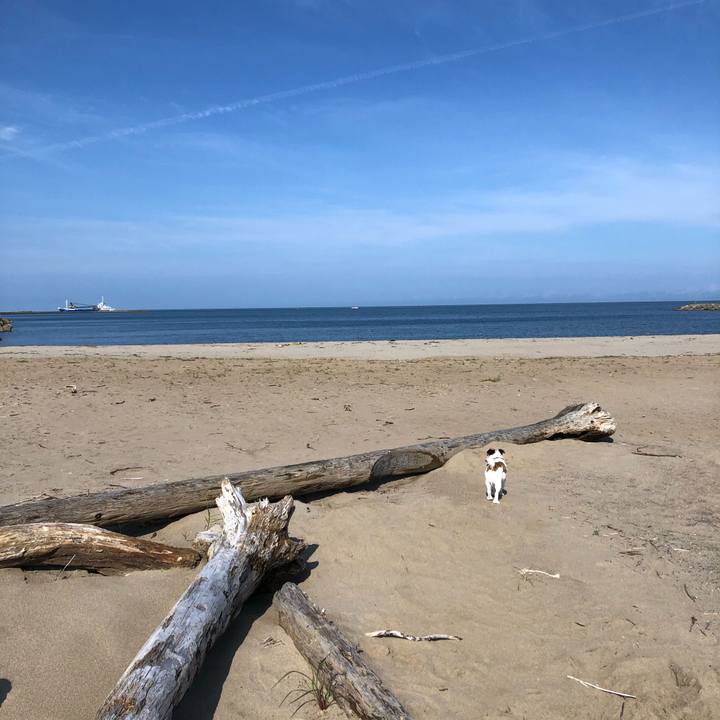 41cbb531 3865 42c7 be3c 46123523d979 1596324157567